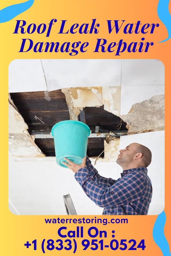 Roof Leak Water Damage Repair in Garrett Park, MD