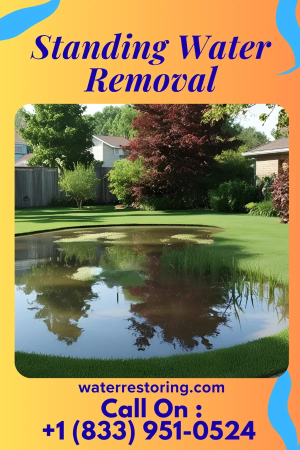 Standing Water Removal in Garrett Park, MD